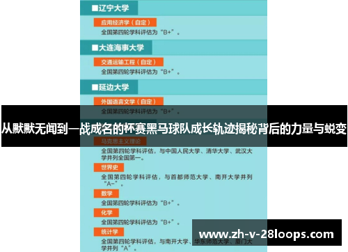 从默默无闻到一战成名的杯赛黑马球队成长轨迹揭秘背后的力量与蜕变